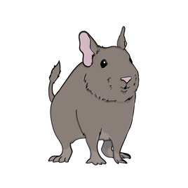 Degu Aisle