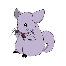 Chinchilla Aisle