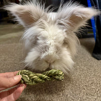 Timothy hay twists (2 per bag)