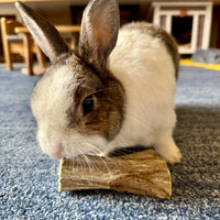 Papaya bark treats