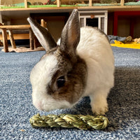 Timothy hay twists (2 per bag)