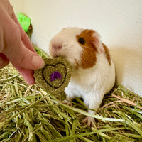 Timothy Grass cookies