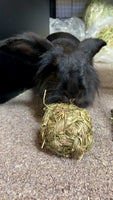 Timothy grass chew toy