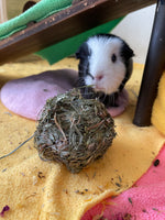 Timothy grass chew toy