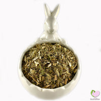 Blessed Thistle is green and yellow and is good for rabbits and degus