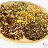 Food4Buns Degu Happy Mix for degus small animals