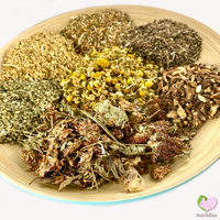Food4Buns Degu Happy Mix for degus small animals