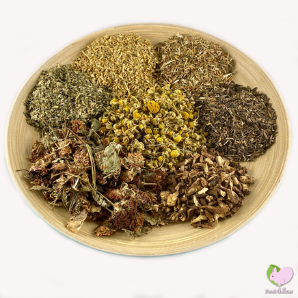 Food4Buns Degu Happy Mix for degus small animals