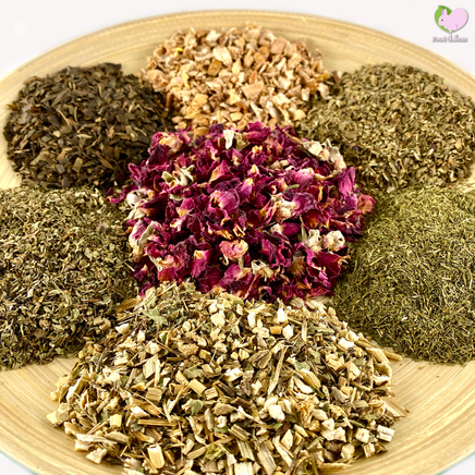 Food4Buns Degu Health Mix for degus small animals