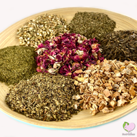 Food4Buns Degu Health Mix for degus small animals