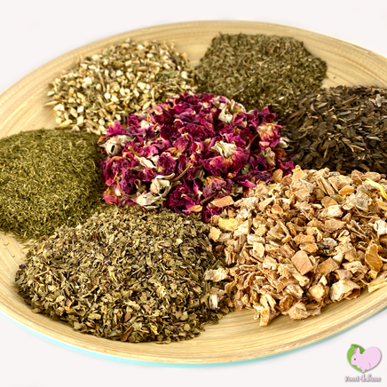 Food4Buns Degu Health Mix for degus small animals