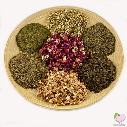 Food4Buns Degu Health Mix for degus small animals