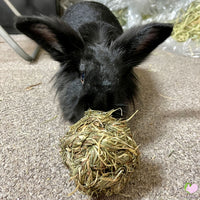 Timothy grass chew toy