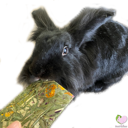 Timothy grass chips with flowers for rabbits guinea pigs chinchillas hamsters and degus