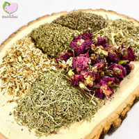 Forest Adventure Mix with Blessed Thistle, Horsetail (shavegrass), Plantain, Rosebuds, Strawberry, Willow Bark for rabbits, guinea pigs, chinchillas, hamsters, degus and gerbils.
