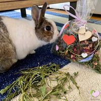 Somebunny Loves You