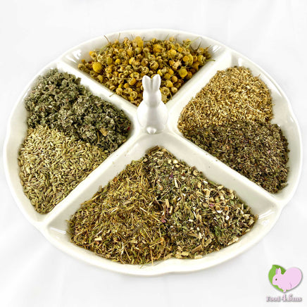 Immune Kicker Mix for rabbits, guinea pigs, chinchillas, hamsters, degus and gerbils with Echinacea, Fennel, Raspberry Leaves, Strawberry Leaves, Chickweed, Yarrow Flowers and Chamomile