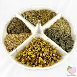 Immune Kicker Mix for rabbits, guinea pigs, chinchillas, hamsters, degus and gerbils with Echinacea, Fennel, Raspberry Leaves, Strawberry Leaves, Chickweed, Yarrow Flowers and Chamomile