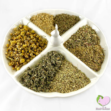 Immune Kicker Mix for rabbits, guinea pigs, chinchillas, hamsters, degus and gerbils with Echinacea, Fennel, Raspberry Leaves, Strawberry Leaves, Chickweed, Yarrow Flowers and Chamomile