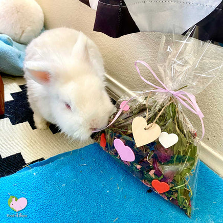 white bunny smelling herbs and flowers