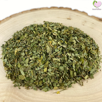 moringa leaves tortoise turtle food treat