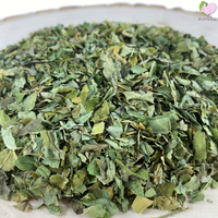 moringa leaves tortoise turtle food treat
