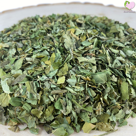 moringa leaves tortoise turtle food treat