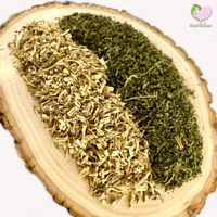 Nettle Leaves and Root