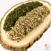 Nettle Leaves and Root