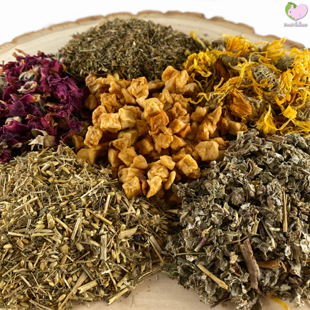 self dried dandelions, yarrow flowers, calendulas, marigold, rosebuds, apple slices, raspberry leaves, rosebuds, strawberry leaves, rabbit, bunny, guinea pig, chinchilla, hamster