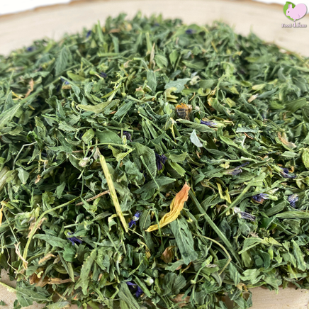 alfalfa leaves tortoise food treat rabbit bunny