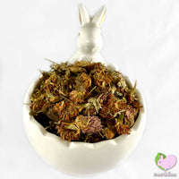 Red Clover, whole, dried and organic for rabbits, guinea pigs, chinchillas, hamsters, degus and gerbils