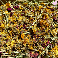 Bunny Forage Box with Timothy, Oat or Orchard Hay