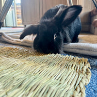 Timothy grass mat