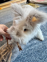 Dandelion Root UNCUT long stems!