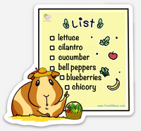 Fridge Magnet "shopping list" Guinea Pig