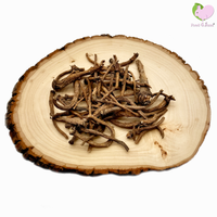 Dandelion Root UNCUT long stems!