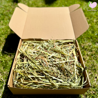 Bunny Forage Box with Timothy, Oat or Orchard Hay