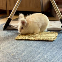 Timothy grass mat