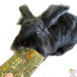 Timothy grass chips with flowers for rabbits guinea pigs chinchillas hamsters and degus