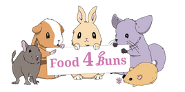 Food4Buns Gift Card