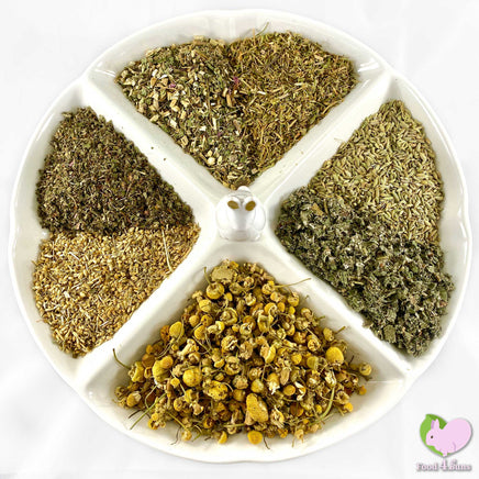 Immune Kicker Mix for rabbits, guinea pigs, chinchillas, hamsters, degus and gerbils with Echinacea, Fennel, Raspberry Leaves, Strawberry Leaves, Chickweed, Yarrow Flowers and Chamomile