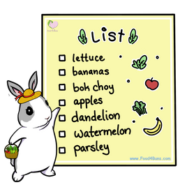Fridge Magnet "shopping list"