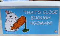 Bumper Sticker "That's close enough Hooman"